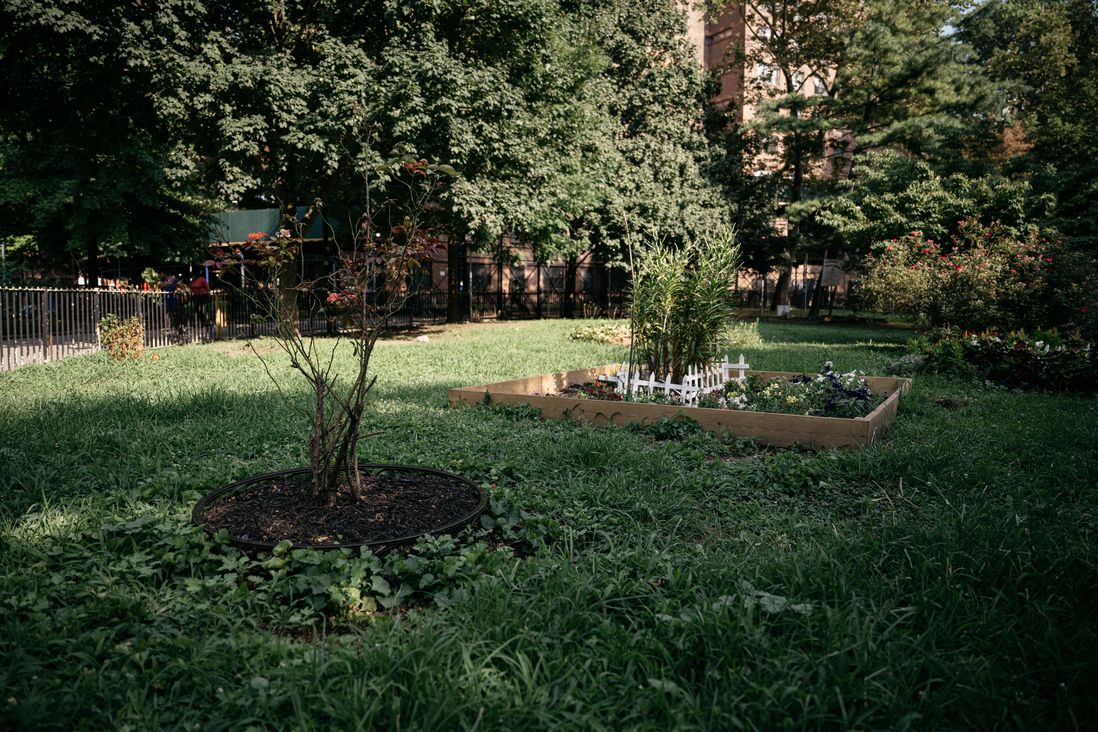 The Washington Houses campus is dotted with flower and vegetable gardens.